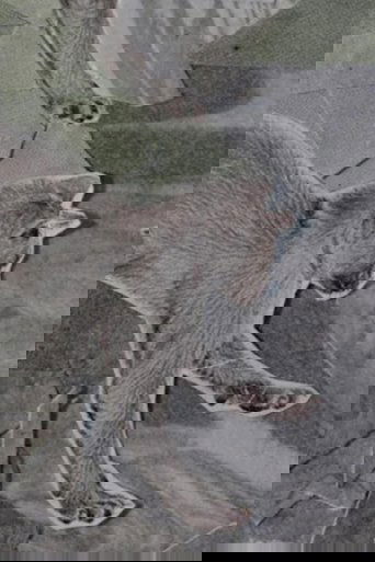 Knot Waking