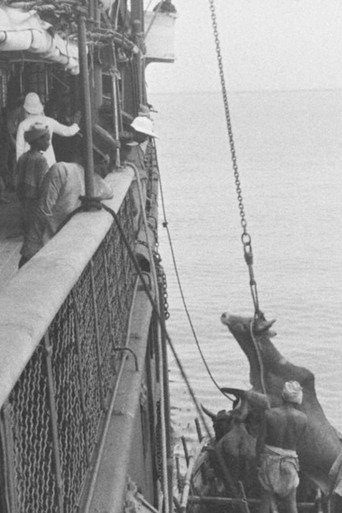 Embarquement d'un boeuf à bord d'un navire 在线观看和下载完整电影