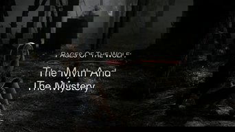 The Pages of the Wolf: The Myth and The Mystery