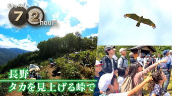 Nagano: Watching for Hawks