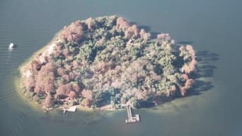 Disney's Discovery Island