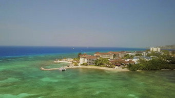 Jamaican Me Crazy