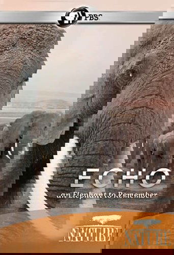 Echo: An Elephant to Remember