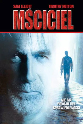 Okładka filmu Mściciel