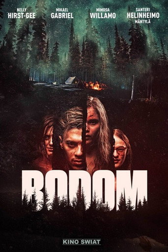 Okładka filmu Bodom