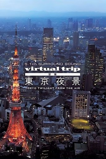 Virtual Trip: Tokyo Twilight from the Air