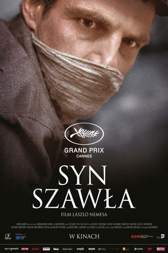 Okładka filmu Syn Szawła