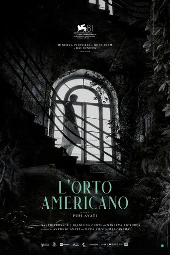 Okładka filmu L'orto americano