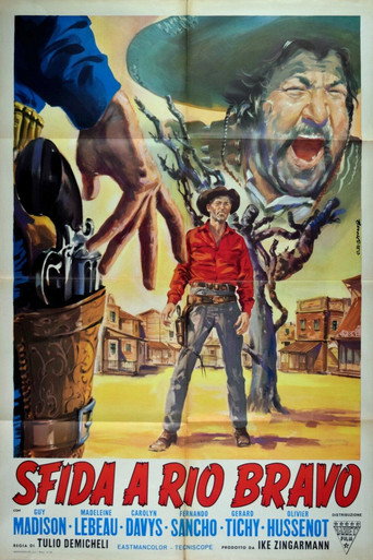 Okładka filmu Sfida a Rio Bravo