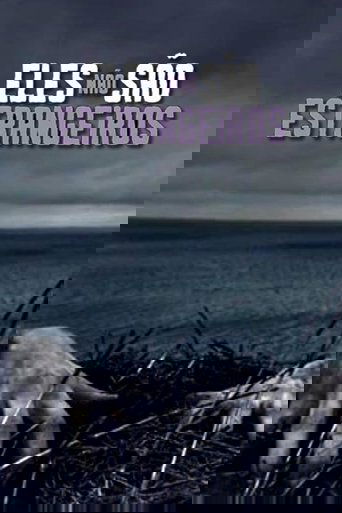 They're Not Foreigners