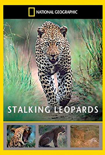 National Geographic: Stalking Leopards 在线观看和下载完整电影