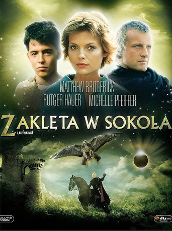 Okładka filmu Zaklęta w sokoła
