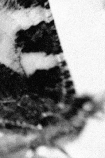 Footnote to a Season