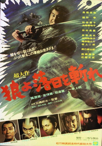 Okładka filmu 狼よ落日を斬れ