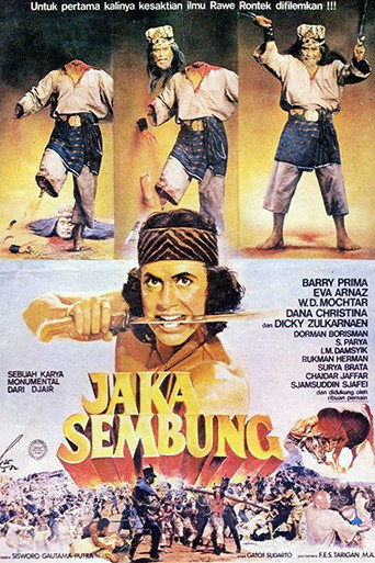 Okładka filmu Jaka Sembung