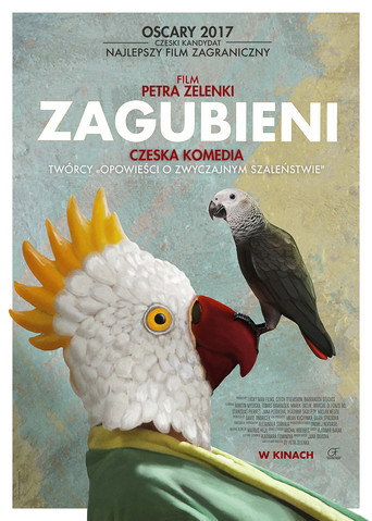 Okładka filmu Zagubieni