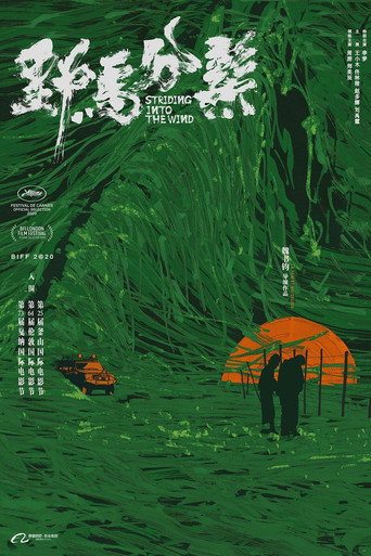 Okładka filmu 野马分鬃