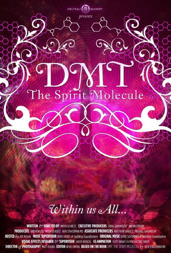 DMT: The Spirit Molecule 在线观看和下载完整电影