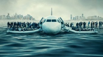 Capa de Sully