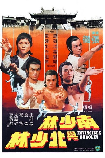 Okładka filmu Niezwyciężony Shaolin