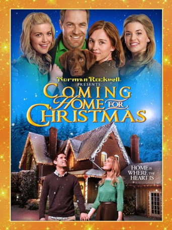 Coming Home for Christmas 在线观看和下载完整电影