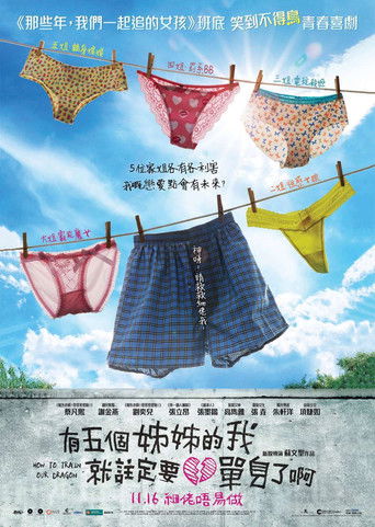 《有五個姊姊的我就註定要單身了啊》線上免費看- 電影