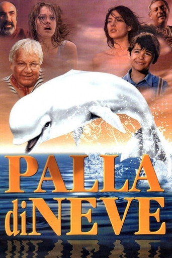 Okładka filmu Palla di Neve