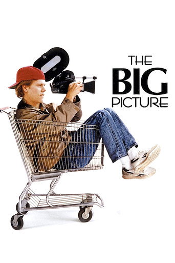 The Big Picture 在线观看和下载完整电影