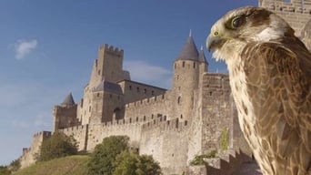 Carcassone: The Realm of the Owl