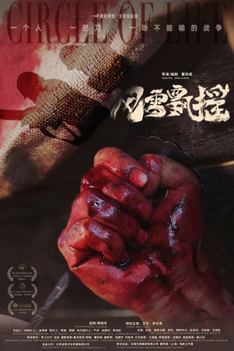 Okładka filmu 风雪飘摇