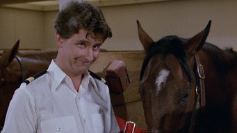 Secretary to the Stars/Julie's Decision/The Horse Lover/Gopher and Isaac Buy a Horse episode still image