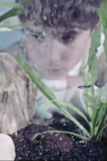 An Aquarium In Action