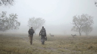 Lone Star Whitetails
