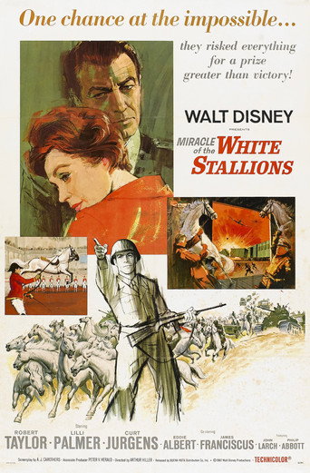 Miracle of the White Stallions 在线观看和下载完整电影