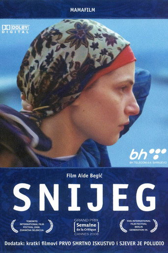 Okładka filmu Snijeg