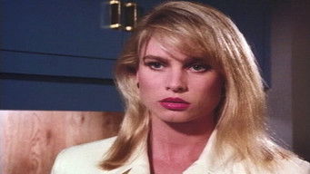 The Perfect Opportunity