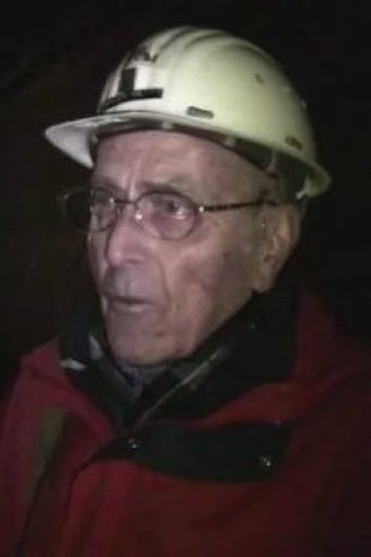 Metti Franzen