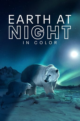 Earth at Night in Color (2021)