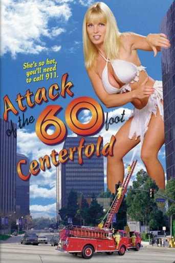 Attack of the 60 Foot Centerfold 在线观看和下载完整电影