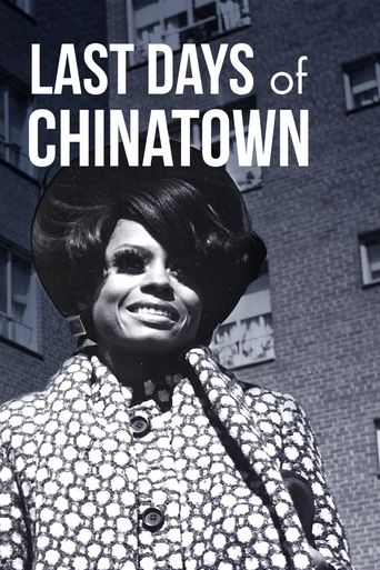 Poster de Last Days of Chinatown