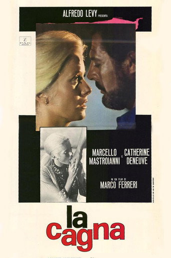 Okładka filmu La cagna