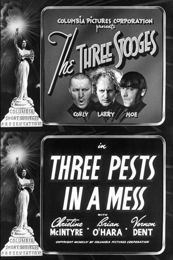 Three Pests in a Mess 在线观看和下载完整电影
