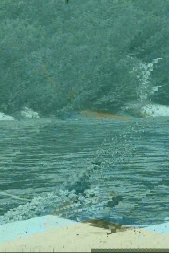 Midsummer Currents