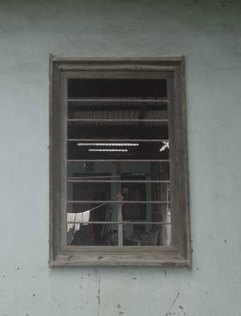An Unknown Summer