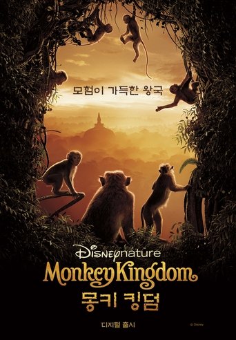 몽키 킹덤(Monkey Kingdom)
