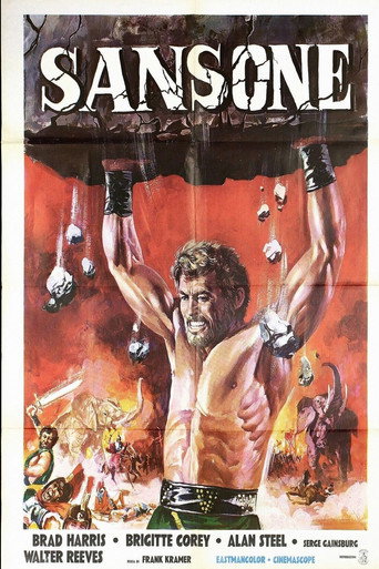 Okładka filmu Sansone