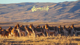 【长江吃饭故事·先导片】穿越6300公里，长江的第一滴水从这里流下，故事也将从这里开始