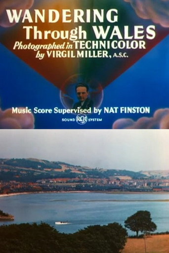 Wandering Through Wales