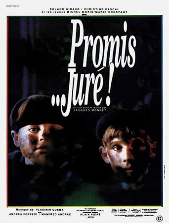 Promis... juré ! 在线观看和下载完整电影