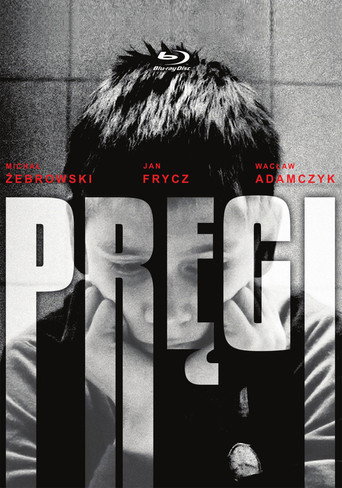 Pręgi 在线观看和下载完整电影